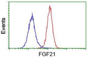 Flow cytometric Analysis of Hela cells, using anti-FGF21 antibody (ABIN2454488), (Red), compared to a nonspecific negative control antibody, (Blue).