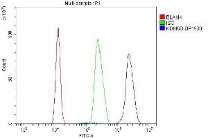 Flow Cytometry analysis of K562 cells using anti-KDM6B antibody (ABIN7599752). (Kdm6b Antikörper  (AA 1127-1643))