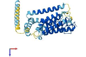 RHBDL2 Protein (AA 1-303) (His tag)