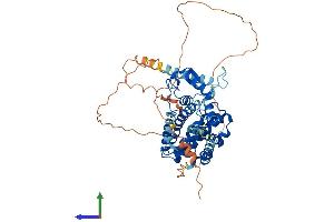 Protein Structure (PS) image for Nuclear Receptor Subfamily 5, Group A, Member 2 (NR5A2) (AA 1-541) protein (His tag) (ABIN7549804)
