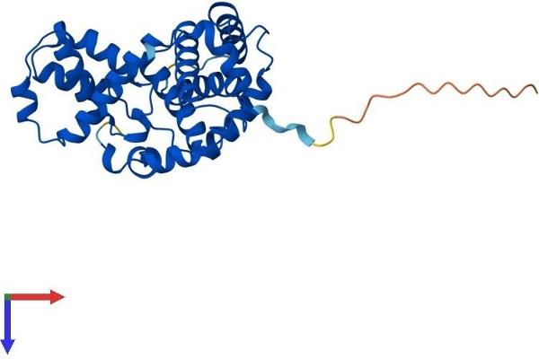 Cyclin C Protein (CCNC) (AA 1-283) (His tag)