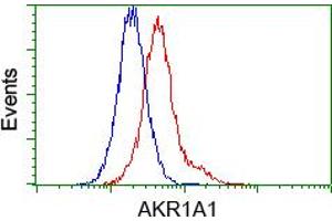 Image no. 4 for anti-Aldo-Keto Reductase Family 1, Member A1 (Aldehyde Reductase) (AKR1A1) antibody (ABIN1496542) (AKR1A1 Antikörper)