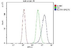 Flow Cytometry analysis of PC-3 cells using anti-PVRL1/NECTIN1 antibody (ABIN7601298).