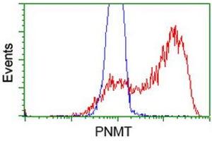Flow Cytometry (FACS) image for anti-Phenylethanolamine N-Methyltransferase (PNMT) antibody (ABIN1500312) (PNMT Antikörper)
