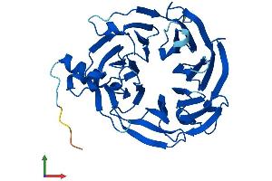 Protein Structure (PS) image for THO Complex 6 Homolog (THOC6) (AA 1-341) protein (His tag) (ABIN7557562)