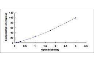 ELISA image for Prolactin (PRL) ELISA Kit (ABIN417351)