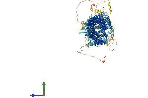 Protein Structure (PS) image for Chromosome 10 Open Reading Frame 137 (C10orf137) (AA 1-1239) protein (His tag) (ABIN7564046)