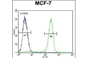 OTOP3 Antibody (C-term) (ABIN655855 and ABIN2845262) flow cytometric analysis of MCF-7 cells (right histogram) compared to a negative control (left histogram). (OTOP3 Antikörper  (C-Term))