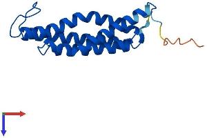 MGST3 Protein (AA 1-153) (His tag)