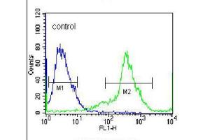 Flow cytometric analysis of 293 cells (right histogram), compared to a negative control cell (left histogram), was performed with KLK6 polyclonal antibody  and FITC-conjugated goat-anti-rabbit secondary antibody. (Kallikrein 6 Antikörper  (Internal Region))