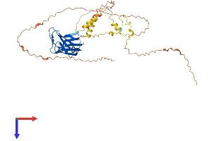 PAS1C1 Protein (AA 1-388) (His tag)