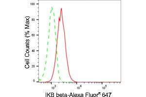 Flow cytometric analysis of IKB beta expression in HepG2 cells using IKB beta antibody (ABIN7799590), 1:2,000). (Rekombinanter NFKBIB Antikörper)