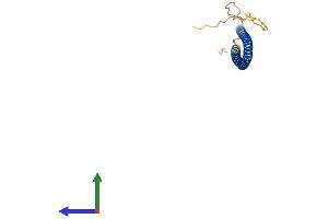 Protein Structure (PS) image for Coiled-Coil Domain Containing 85B (CCDC85B) (AA 1-202) protein (His tag) (ABIN7558053)