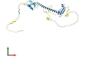 Protein Structure (PS) image for E2F5 (E2F5) (AA 1-346) protein (His tag) (ABIN7547283)