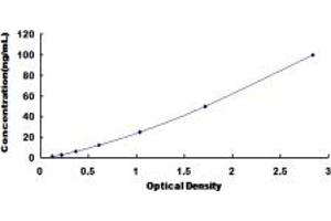 Typical standard curve (HDAC4 ELISA Kit)