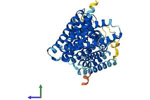 Protein Structure (PS) image for Membrane Bound O-Acyltransferase Domain Containing 4 (MBOAT4) (AA 1-435) protein (His tag) (ABIN7549322)