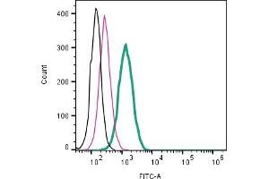 Cell surface detection of CD63 by direct flow cytometry in live intact mouse  microglia cell line: + Rabbit IgG Isotype Control-FITC (ABIN7582044). (CD63 Antikörper  (Extracellular) (FITC))