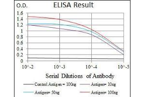 Black line: Control Antigen (100 ng), Purple line: Antigen(10 ng), Blue line: Antigen (50 ng), Red line: Antigen (100 ng), (JNK Antikörper)
