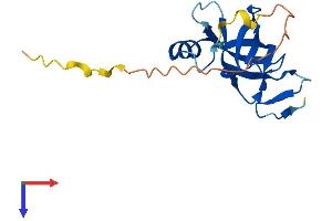 CSDC2 Protein (AA 1-154) (His tag)