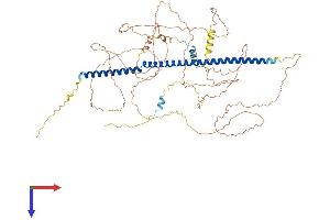 PLK1S1 Protein (AA 1-695) (His tag)