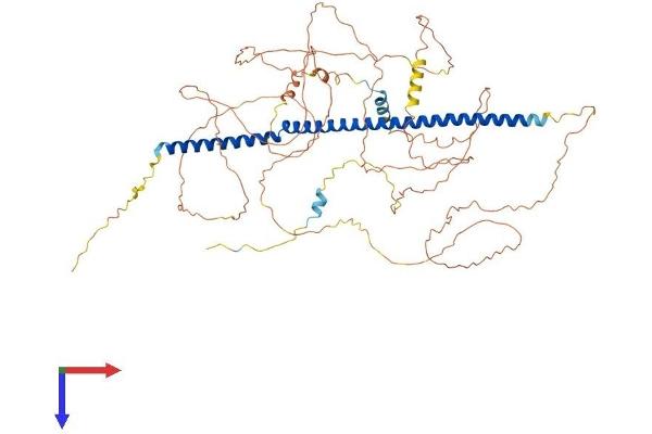 PLK1S1 Protein (AA 1-695) (His tag)