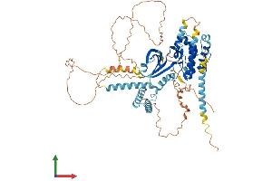 Protein Structure (PS) image for Eukaryotic Translation Initiation Factor 2-alpha Kinase 1 (EIF2AK1) (AA 1-630) protein (His tag) (ABIN7553749)