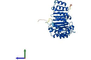 Protein Structure (PS) image for F-Box and Leucine-Rich Repeat Protein 3 (FBXL3) (AA 1-428) protein (His tag) (ABIN7547676)