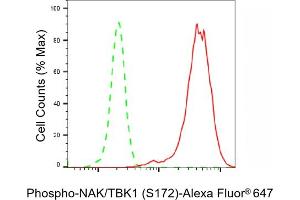 Flow cytometric analysis of Phospho-NAK/TBK1 (S172) expression in HepG2 cells using Phospho-NAK/TBK1 (S172) antibody (ABIN7800504), 1:2,000). (Rekombinanter TBK1 Antikörper  (pSer172))