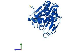 Protein Structure (PS) image for Lactamase, beta 2 (LACTB2) (AA 1-288) protein (His tag) (ABIN7560345)