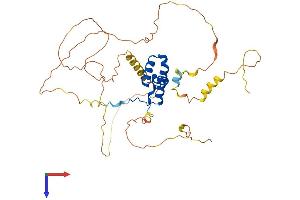 SOX1 Protein (AA 1-391) (His tag)