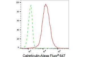 Flow cytometric analysis of Calreticulin expression in C2C12 cells using Calreticulin antibody (ABIN7797853), 1:2,000).