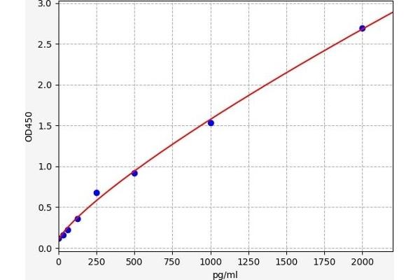 PDYN ELISA Kit