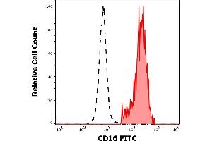 Separation of human CD16 positive CD3 negative lymphocytes (red-filled) from CD16 negative CD3 positive lymphocytes (black-dashed) in flow cytometry analysis (surface staining) of human peripheral whole blood stained using anti-human CD16 (3G8) FITC antibody (4 μL reagent / 100 μL of peripheral whole blood). (CD16 Antikörper  (FITC))