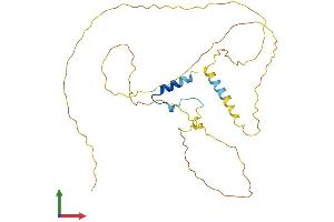 AlphaFold protein structure predicition of Human Recombinant ERMN Protein, UniprotID Q8TAM6