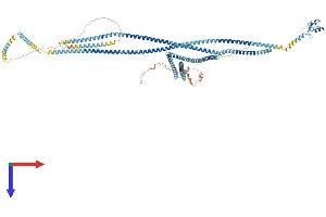RNF20 Protein (AA 1-973) (His tag)