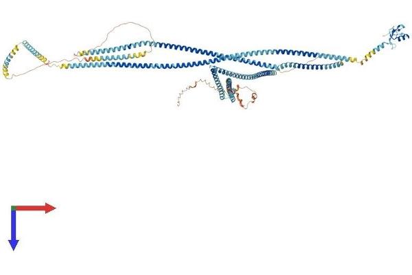 RNF20 Protein (AA 1-973) (His tag)