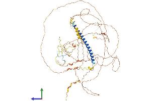 AlphaFold protein structure predicition of Human Recombinant TSC22D2 Protein, UniprotID O75157