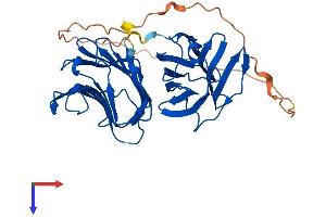Galectin 9 Protein (AA 1-355) (His tag)
