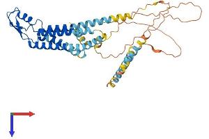 GJC1 Protein (AA 1-396) (His tag)