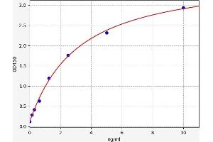 BCL10 ELISA Kit