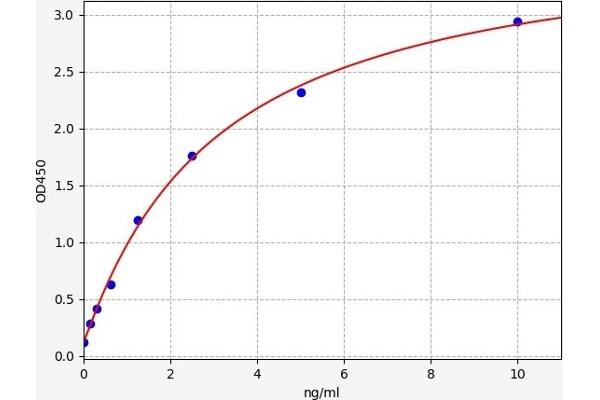 BCL10 ELISA Kit