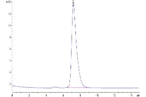 Size-exclusion chromatography-High Pressure Liquid Chromatography (SEC-HPLC) image for Interleukin 18 Receptor Accessory Protein (IL18RAP) protein (His tag) (ABIN7274972)