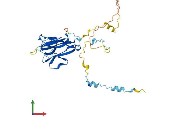 FAM125A Protein (AA 1-271) (His tag)