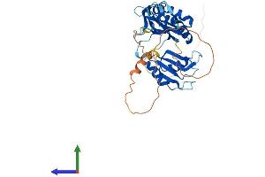 Protein Structure (PS) image for ELAV (Embryonic Lethal, Abnormal Vision, Drosophila)-Like 2 (Hu Antigen B) (ELAVL2) (AA 1-359) protein (His tag) (ABIN7547376)