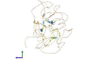 Protein Structure (PS) image for Synaptopodin (SYNPO) (AA 1-929) protein (His tag) (ABIN7564533)
