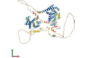 Protein Structure (PS) image for LAS1-Like (LAS1L) (AA 1-734) protein (His tag) (ABIN7554405)