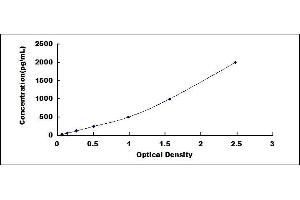 Typical standard curve (CXCR2 ELISA Kit)