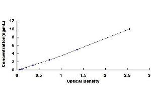 Typical standard curve (GM2A ELISA Kit)