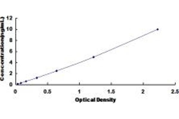 ODC1 ELISA Kit