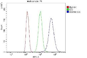 Flow Cytometry analysis of K562 cells using anti- Hsc70 antibody (ABIN7601962). (Hsc70 Antikörper  (AA 520-614))